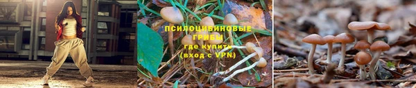 mdpv Арсеньев