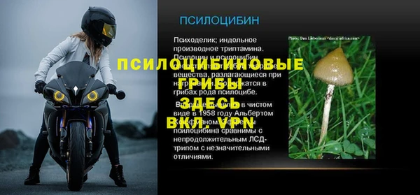mdpv Арсеньев