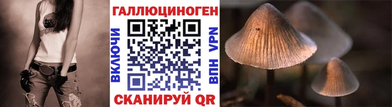 Галлюциногенные грибы Cubensis  Луза 